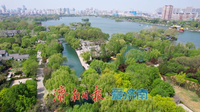 颜值拉满！春满明湖入画来