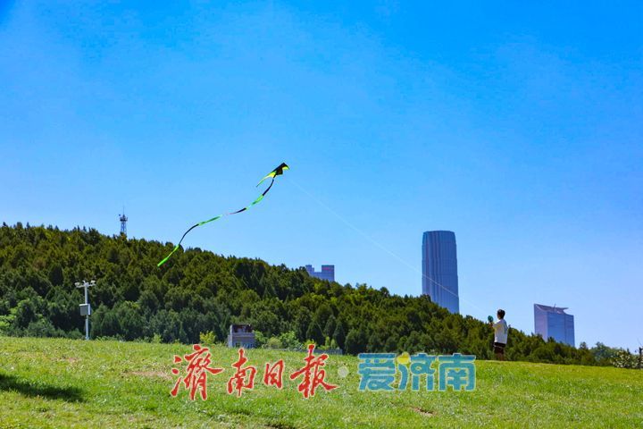晴空映绿意 周末趣时光