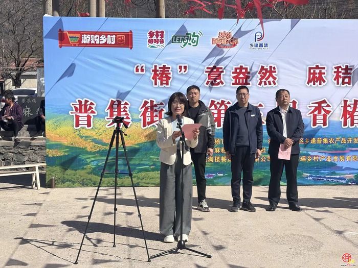 普集街道第三届香椿采摘节开幕啦!