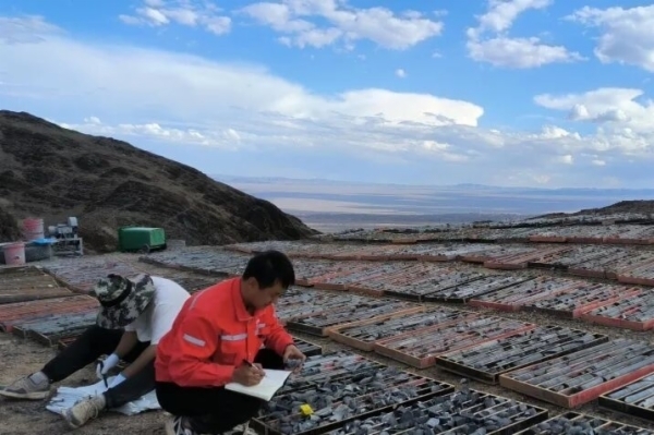 新增4处矿产地60余吨金源！山东黄金自主勘探取得新成果