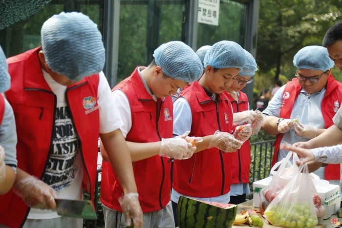 济南动物园：美好“猩”球 你我共同守护