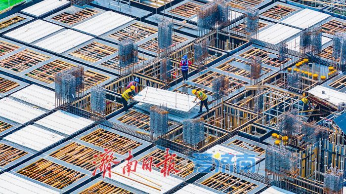 济南发力种业升级 打造北方种业发展新引擎