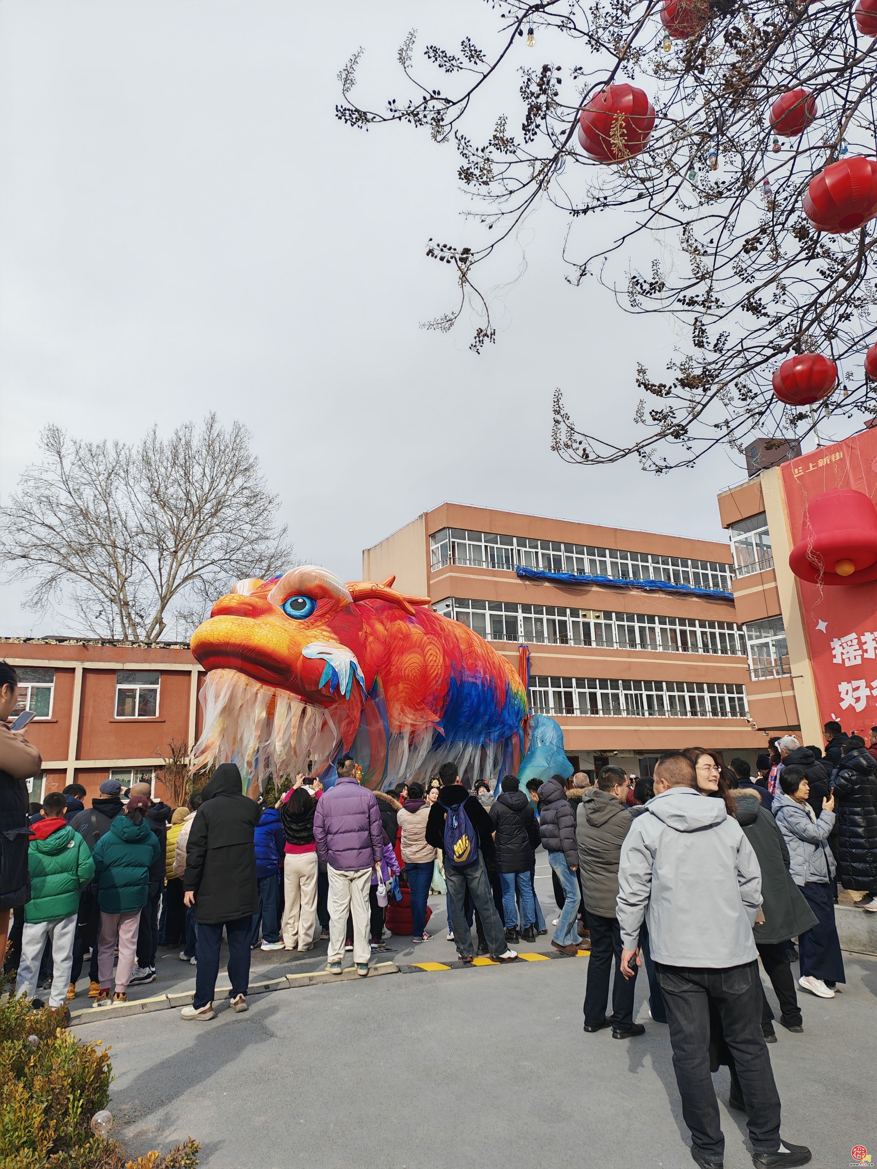 鳌舞上新街，祥瑞启新程——巨型鳌鱼惊艳亮相济南新春