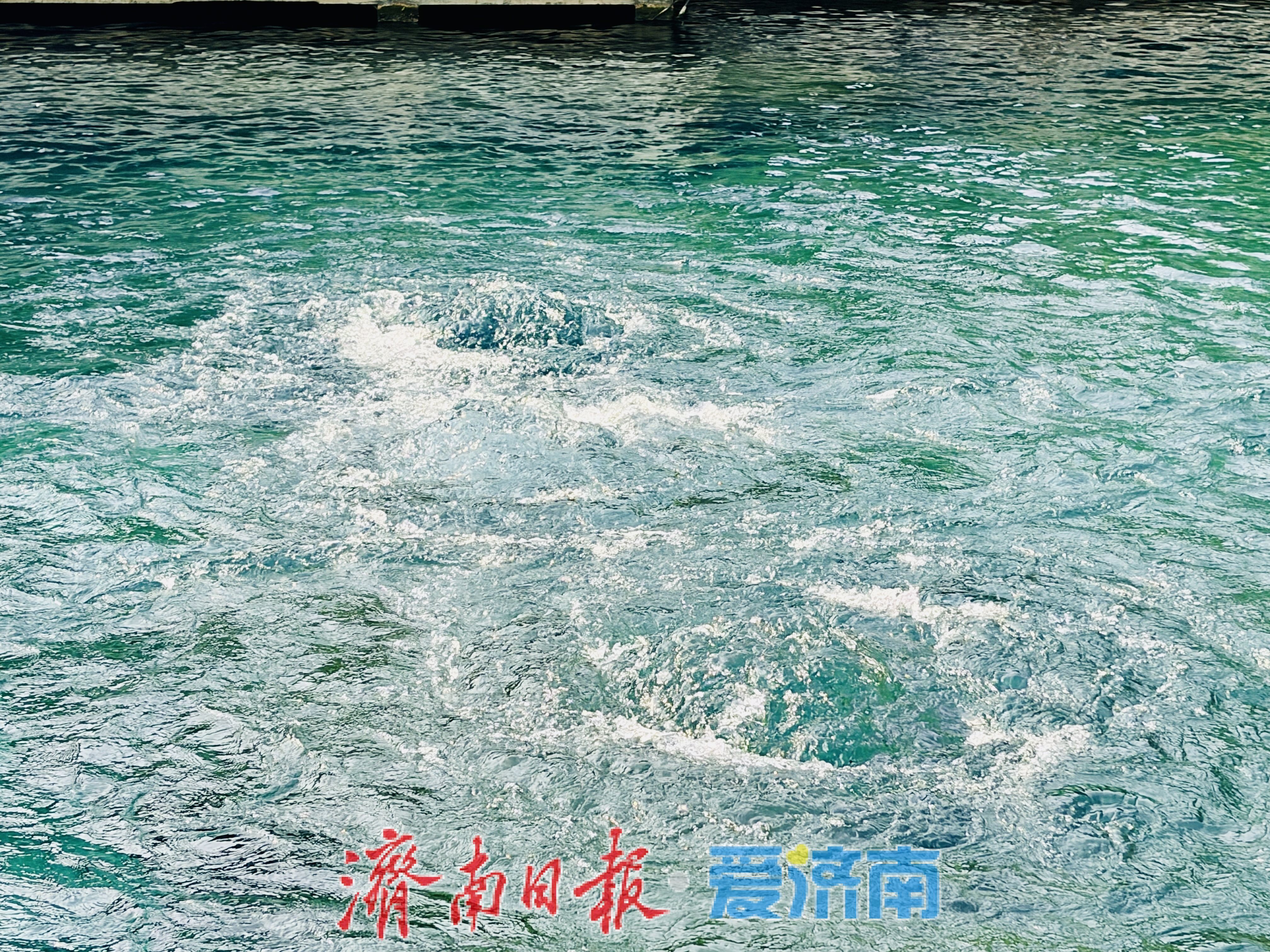 暴雨送甘泉！济南两大名泉水位较去年同期大涨超1米