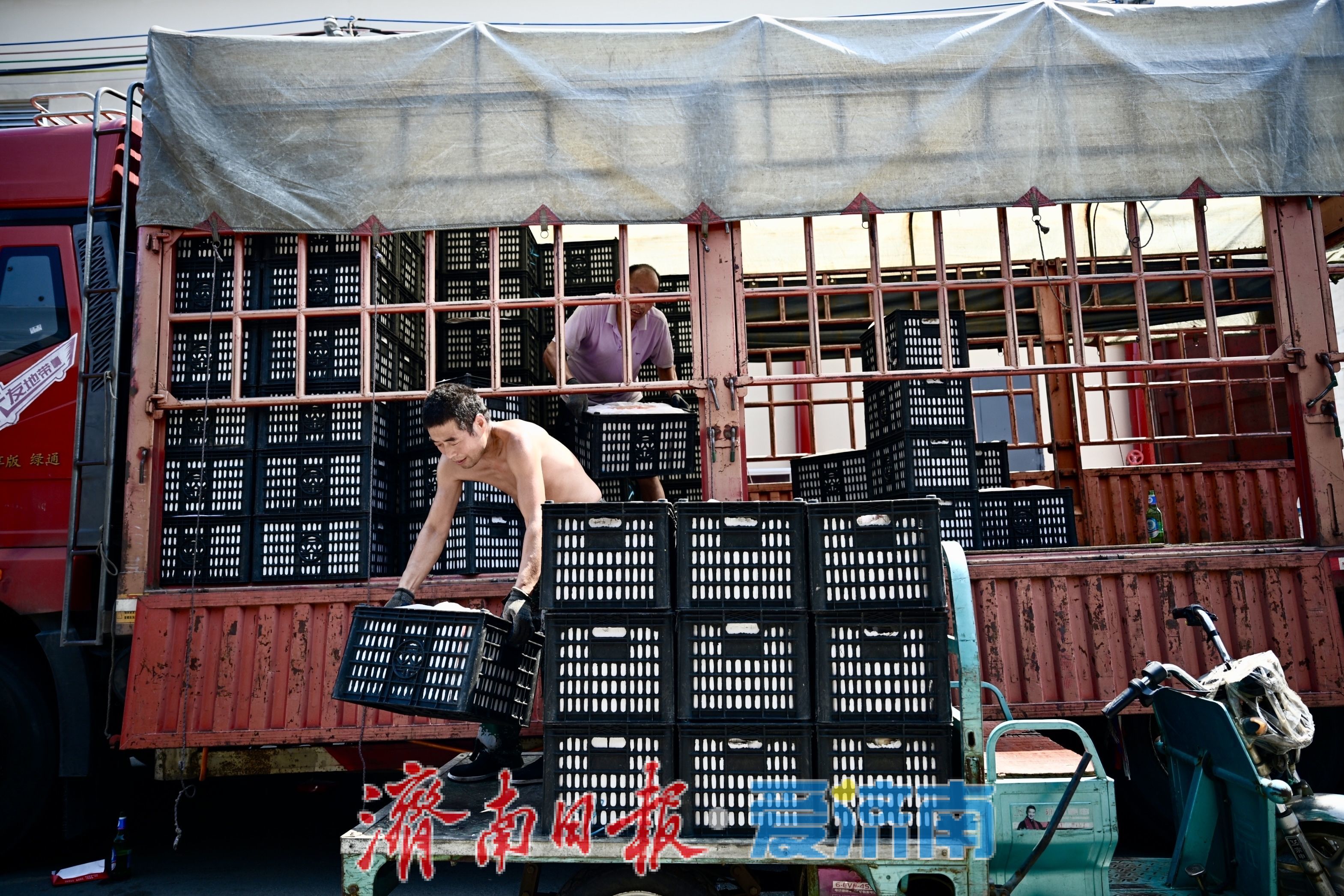 冰火两重天！济南果品搬运工直面40℃温差，守护市民夏日果盘
