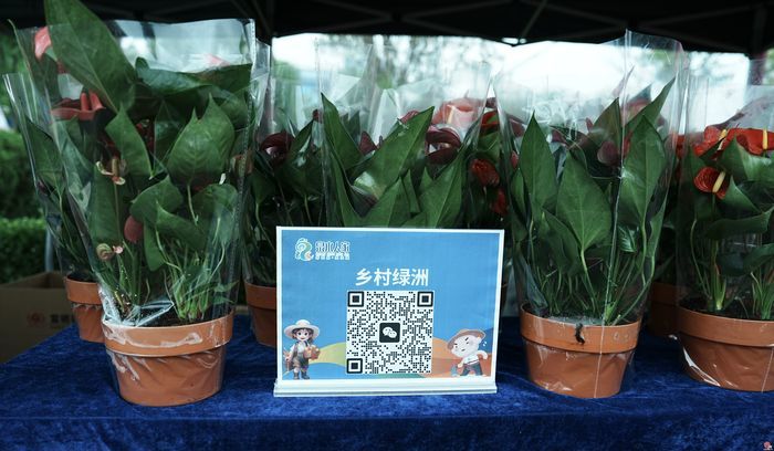 “泉水人家”“点赞商河”组团亮相小麦高产竞赛 展区里济南好物“圈粉”忙