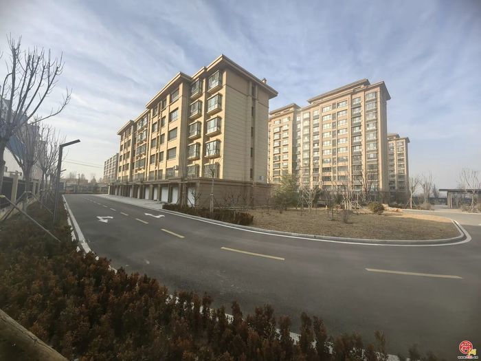 章丘官庄街道：枝叶关情，民生幸福可感可及