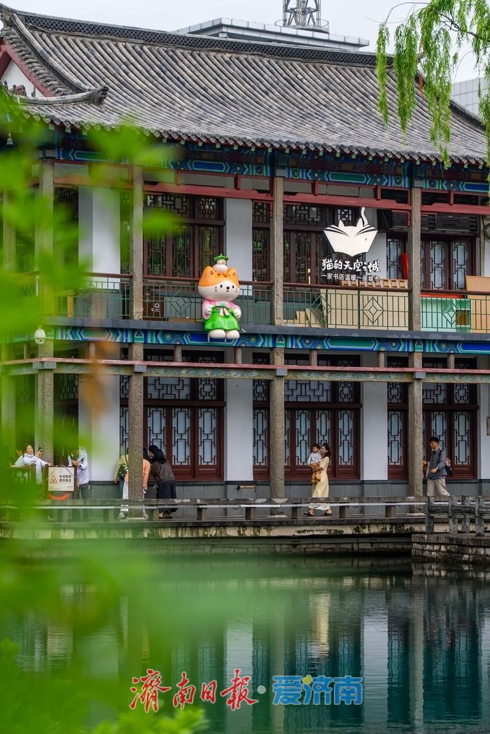 古园新景，萌猫亮相