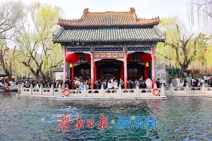 泉韵满庭春 趵突泉春日泉涌引客来