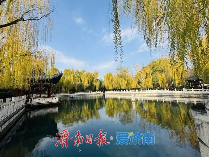 一年四季 泉在济南｜蓝天白云映清泉 济南珍珠泉冬日景致引客来