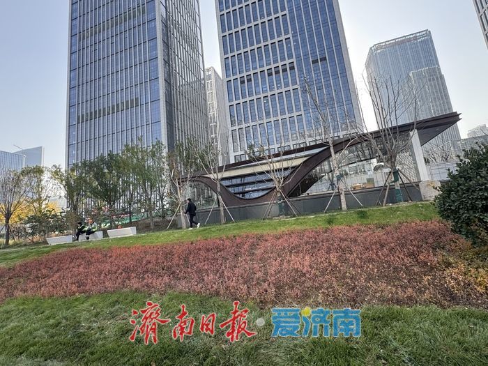 济南轨交4号线凤凰路站露真容 绿意环绕映城芯