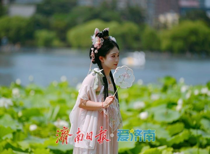 一年四季 泉在济南｜“荷”其有幸“香”约泉城，大明湖第一波荷花已绽放