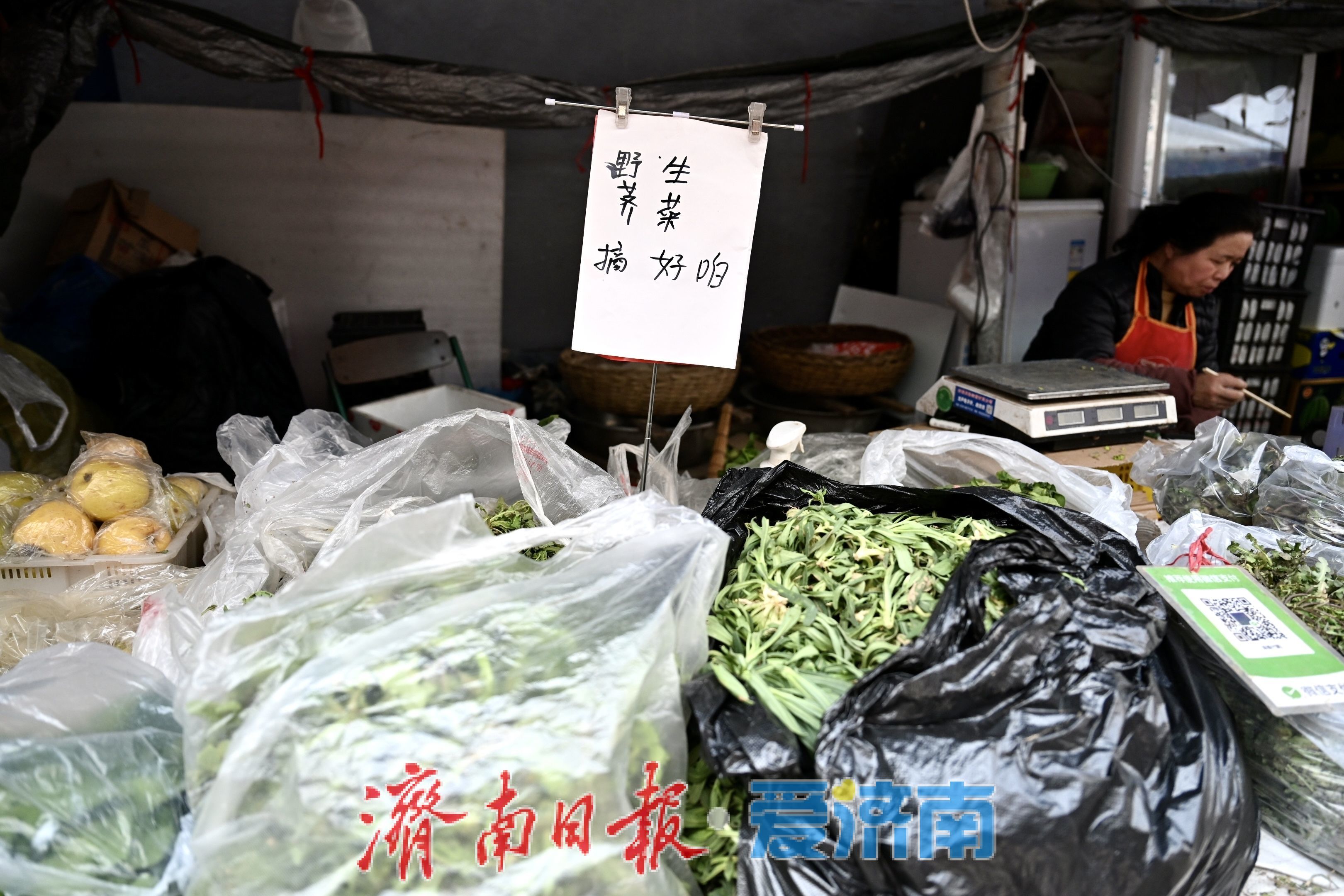 济南民族大街市场春菜上市 价格稳中有降人气旺