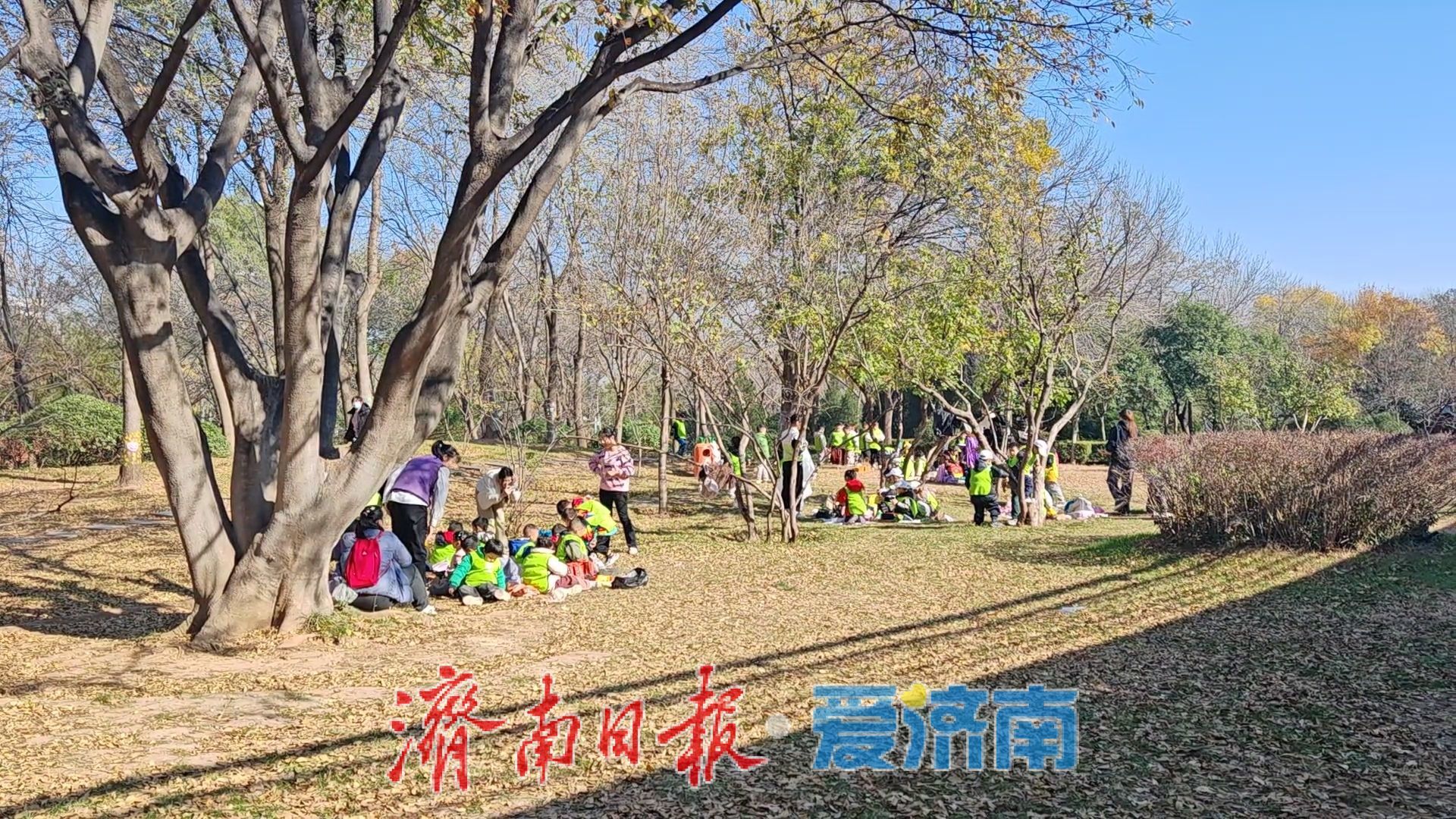 泉城公园载起济南冬日“小确幸”