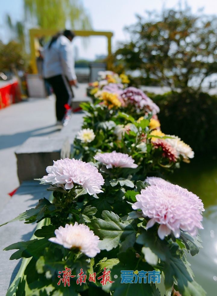 双节临近，泉城节日氛围渐浓