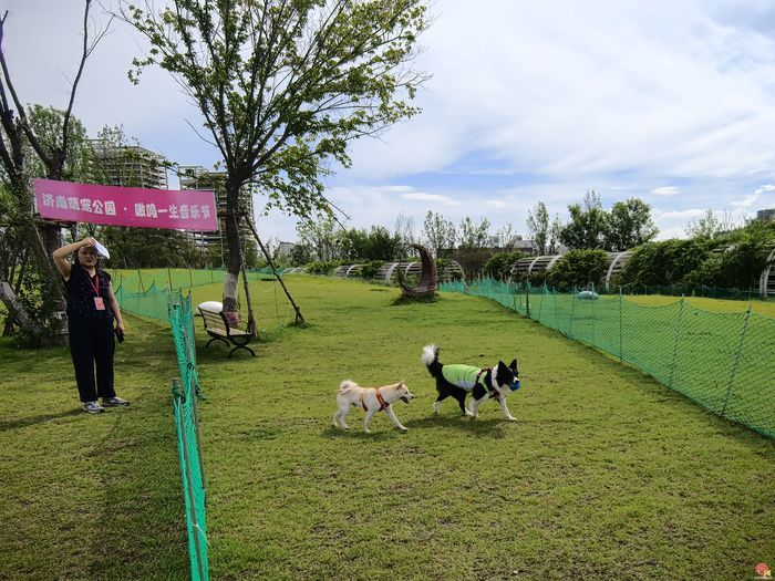 绿满全城 全龄乐享——济南市政协“再商量”助推绿地开放共享再提升