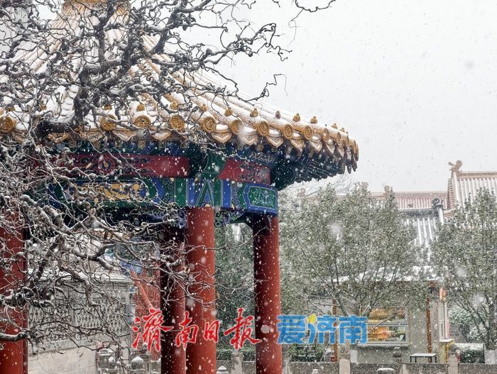 济南邂逅今冬初雪，府学文庙红墙映雪诗意浓