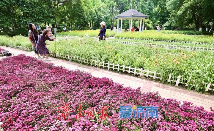 泉城五月花事浓！济南花圃公园化身“天然调色盘”