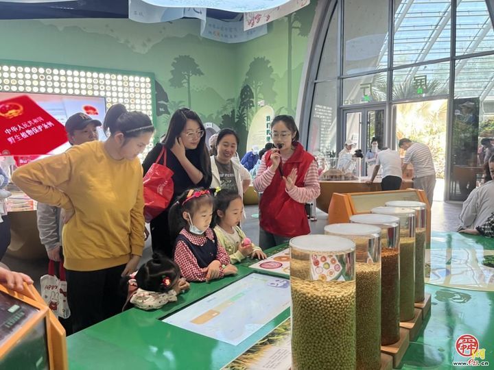 走进自然！济南园林带您开启家门口的探索之旅