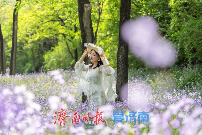 亮相央视获点赞，济南红叶谷邀您打卡花海盛宴