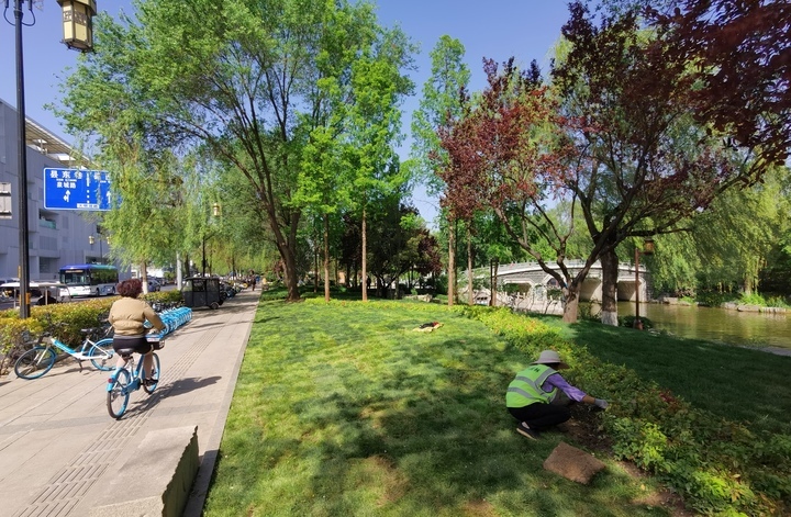 “泉”在济南过五一｜大明湖南岸改造显成效 人在画中游