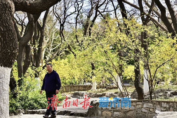 又是一年春好处 踏青赏花醉游人