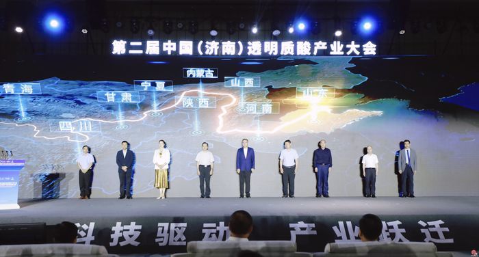 从“各美其美”到“美美与共” 黄河流域医美产业联盟成立