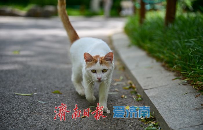 一年四季 泉在济南丨游泉城公园，静享城市“慢生活”