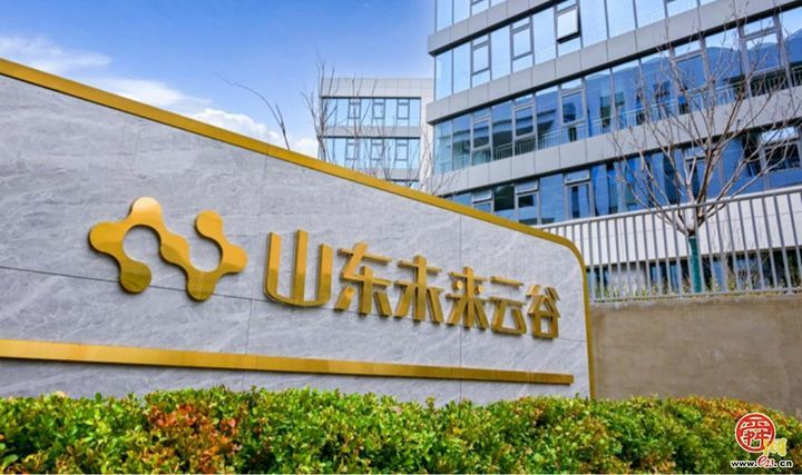 市中区以赛为媒，奋力书写产才融合新答卷