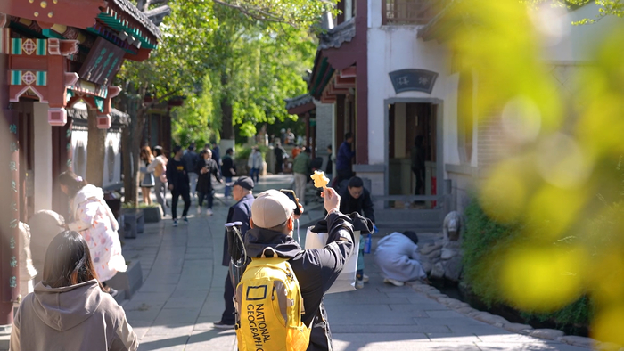 赏花、看柳、寻泉……提前预习济南的春天