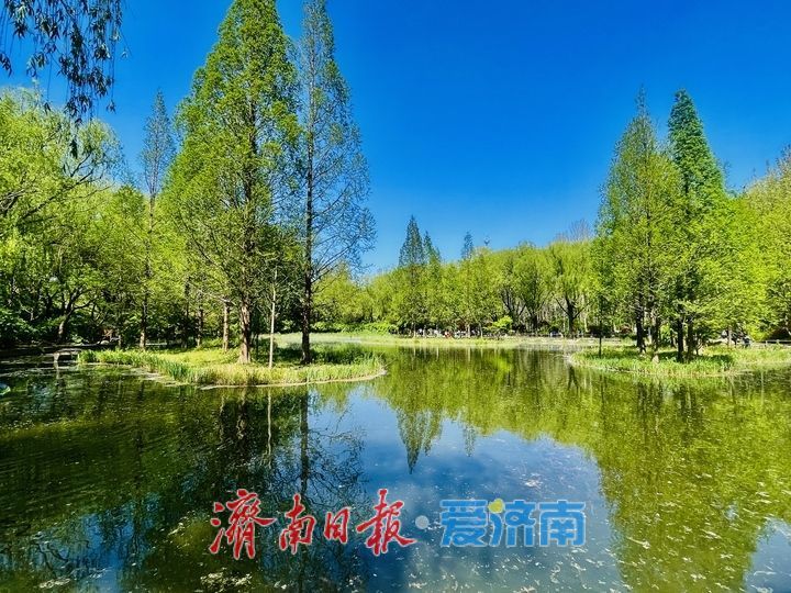 济南森林公园春日如画 市民踏青享“森呼吸”