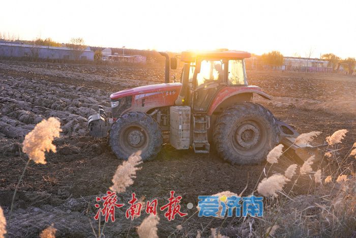 济南吴家堡街道明里村：冬闲人不闲 农田备耕忙