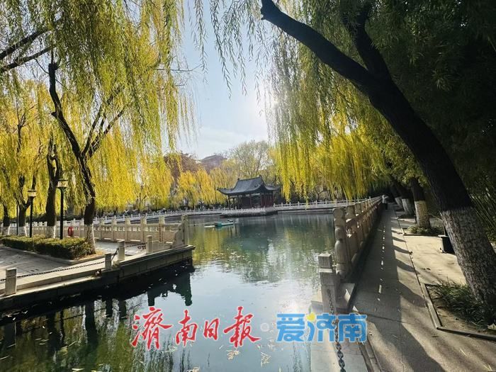 一年四季 泉在济南｜蓝天白云映清泉 济南珍珠泉冬日景致引客来