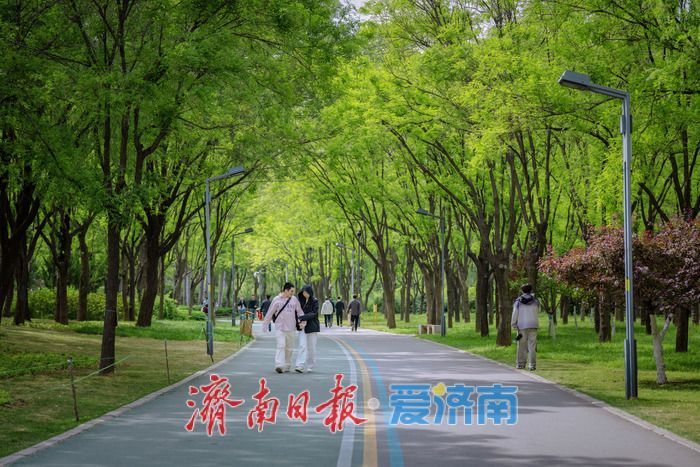 一年四季 泉在济南丨泉城春日 “调色盘” 上新！济南森林公园百花齐放，斑斓色彩扮靓天然氧吧