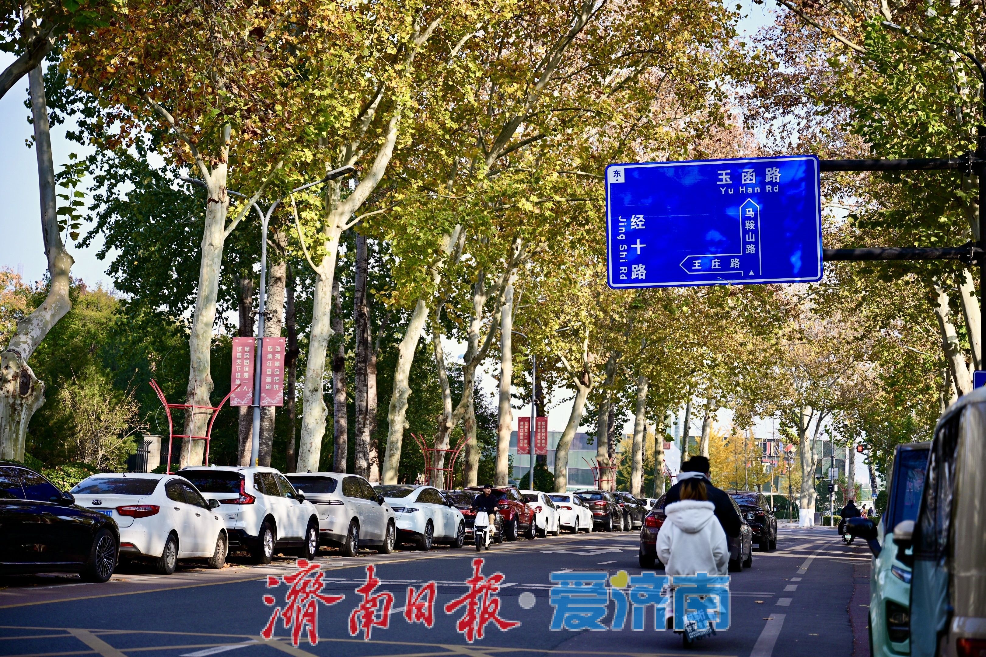 马鞍山路梧桐披“渐变彩裳”，秋末冬初诗意浓