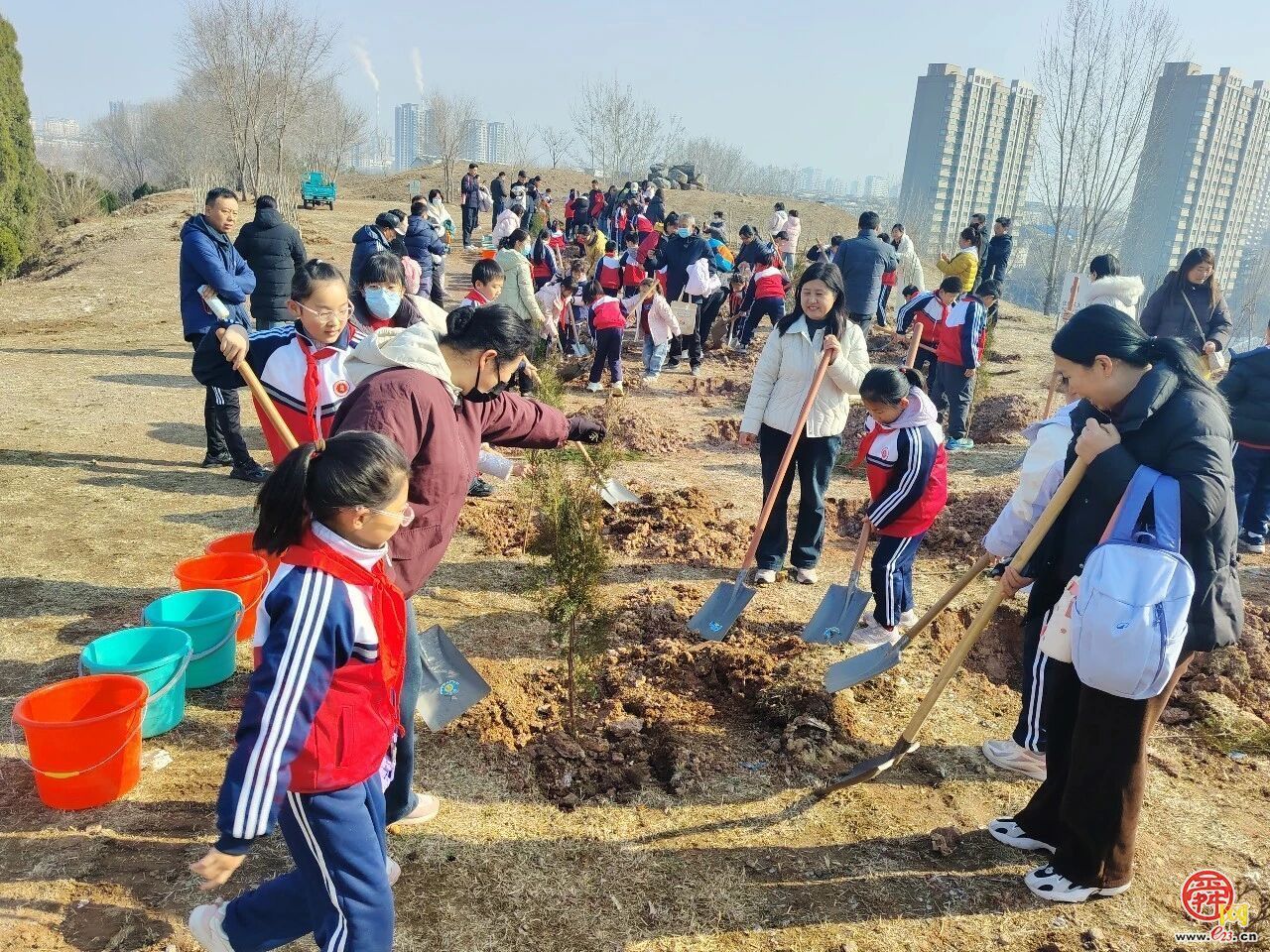 履行植树义务 共建美丽泉城 