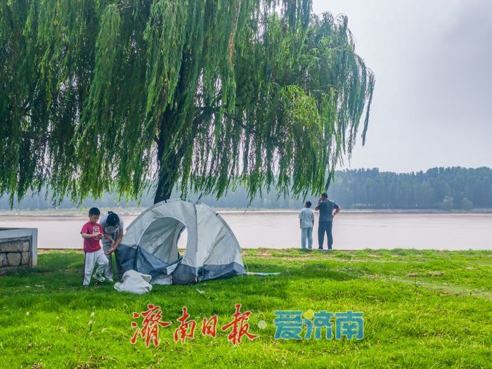 黄河生态风貌带，泉城人家的“天然凉棚”