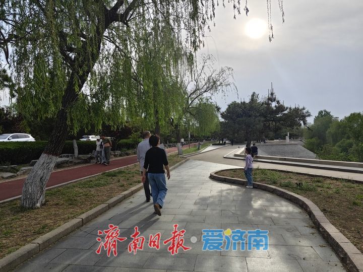 一年四季 泉在济南丨春日黄河岸繁花盛放 百里黄河风景区迎来游玩热潮