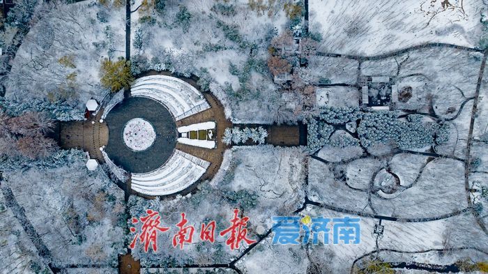 雪落泉城！济南森林公园银装素裹美景如画