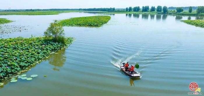 为哪吒重塑肉身，试试白云湖的藕？