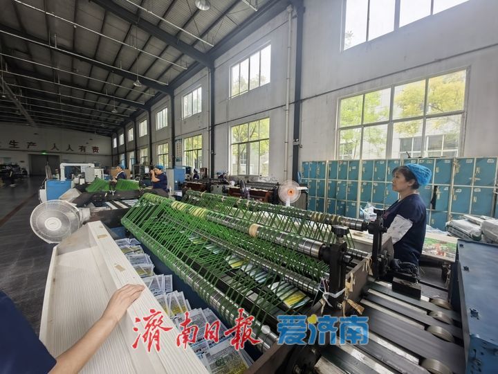 全国每10个种子包装袋，7个来自济南这里！