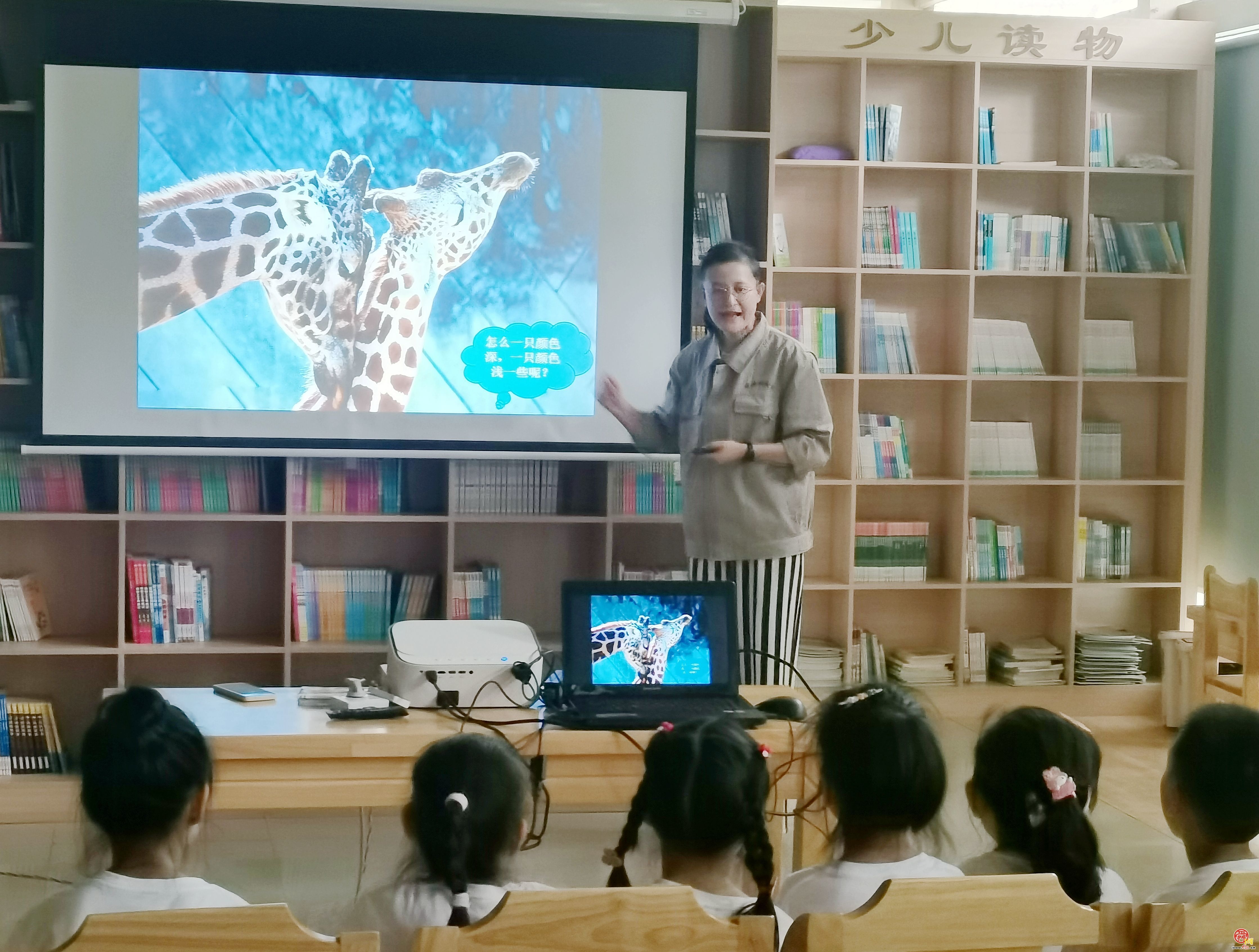 济南动物园：关爱长颈鹿，守护“长脖子”之美