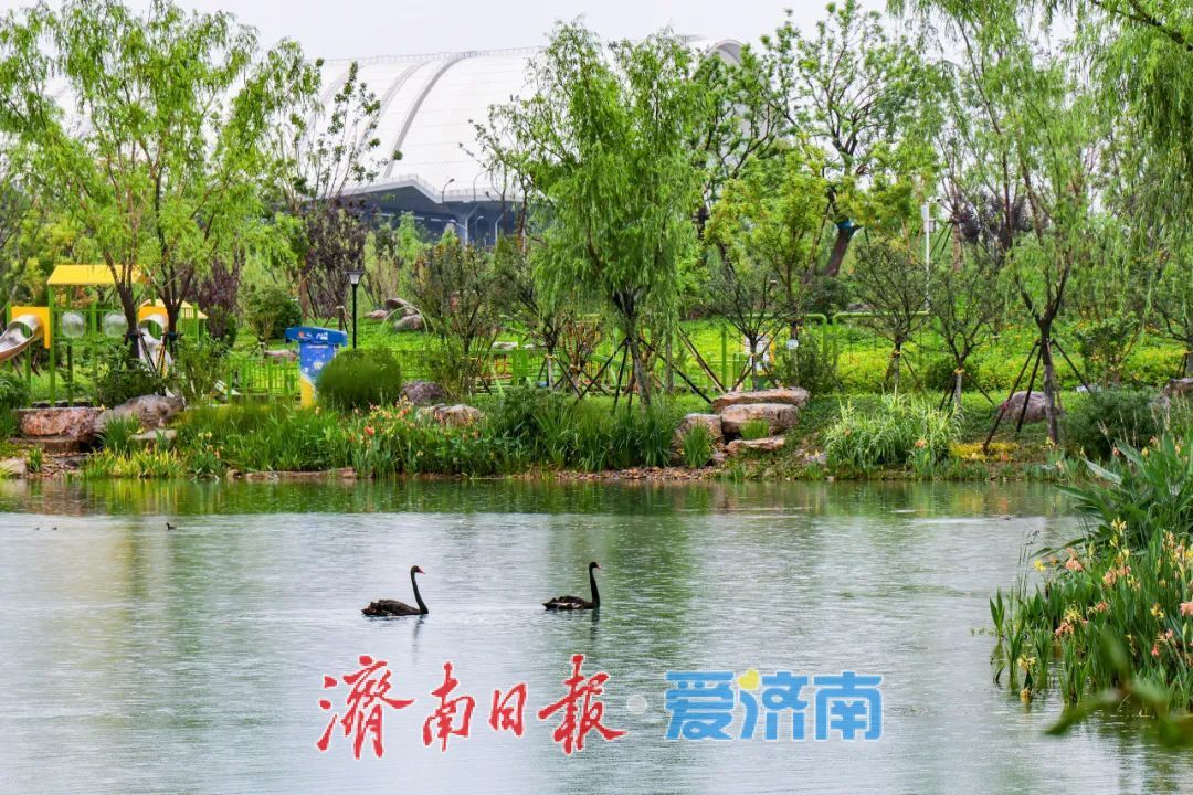 7月3日起，济南白泉生态保护项目对市民免费开放