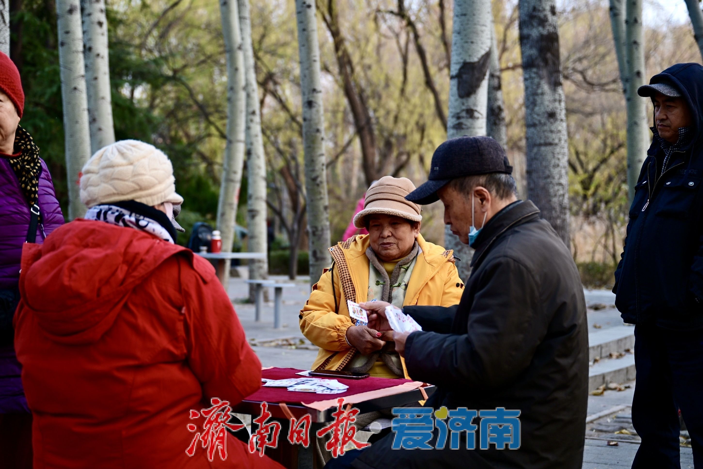 一年四季 泉在济南丨暖冬里的森林公园，市民乐享好去处