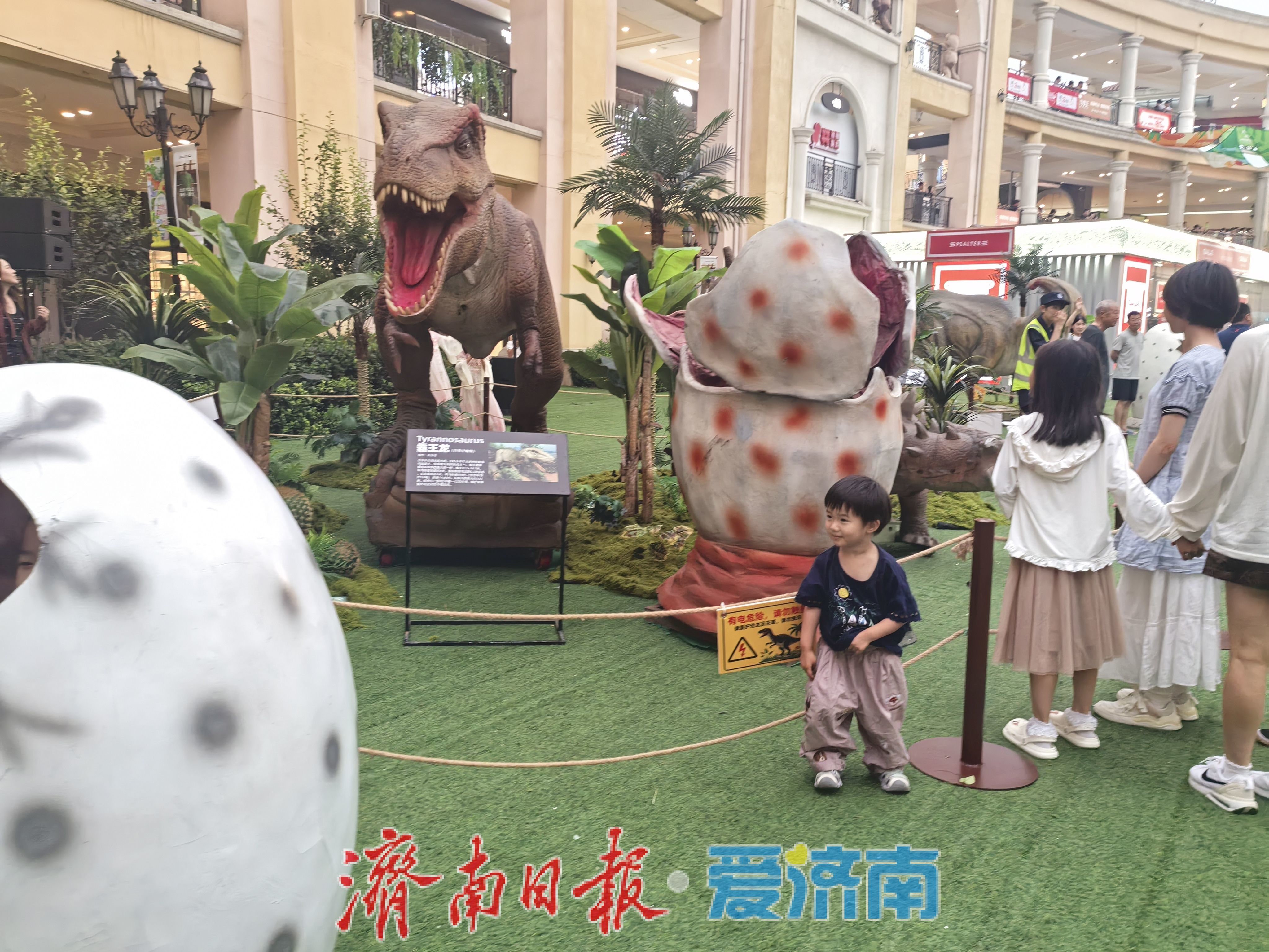 端午遛娃新去处！济南东部商场有处“侏罗纪课堂