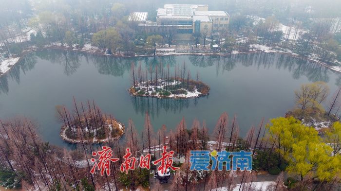 节后春雪添雅韵 济南森林公园解锁冬春交融新景致