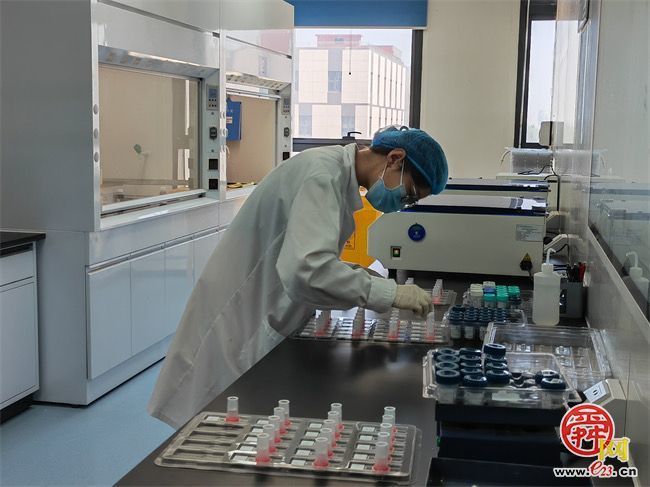 【提质向“新”看槐荫】搭建远程病理平台赋能基层医院