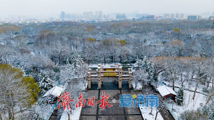 雪落泉城！济南森林公园银装素裹美景如画