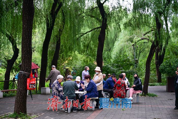 一年四季 泉在济南丨雨后泉城绿意浓，济南森林公园焕发活力