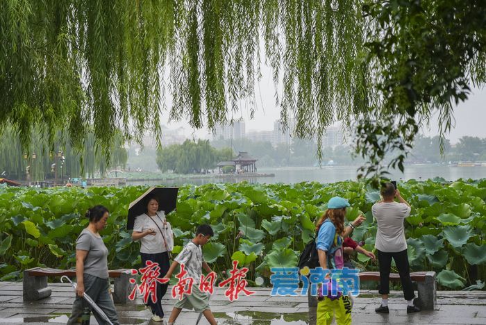 烟雨济南，胜似江南